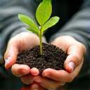 Hands holding a plant representing sustainable future